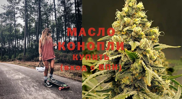 скорость Каменка