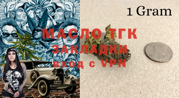 скорость Каменка