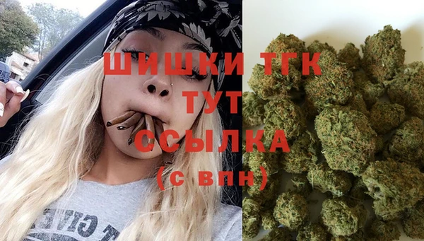 герыч Каменногорск