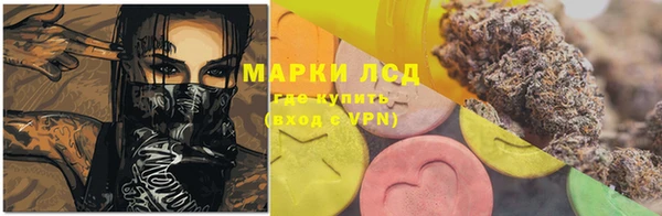 скорость Каменка
